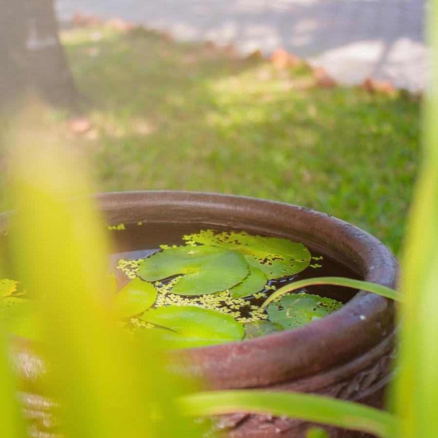 Ben Tre Riverside Resort מראה חיצוני תמונה